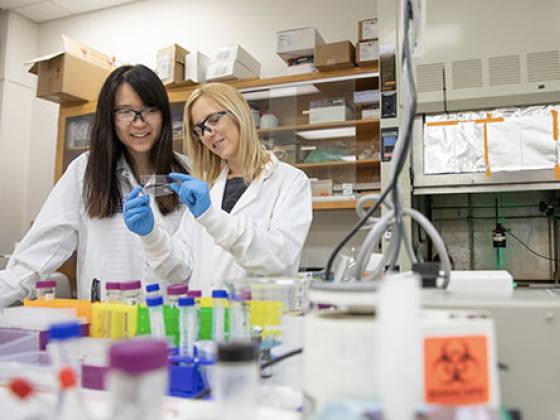 Student and faculty member looking at a petri dish in a lab with items marked as biohazards.